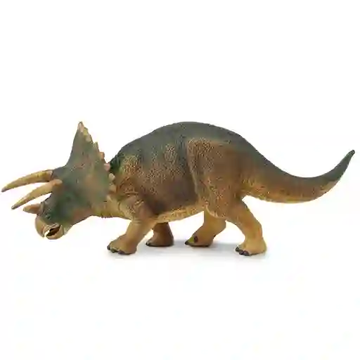 Triceratops Dinosaurio