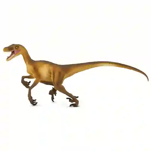 Velociraptor Dinosaurioa7145