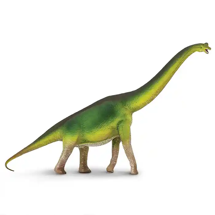 Brachiosaurus Dinosaurio