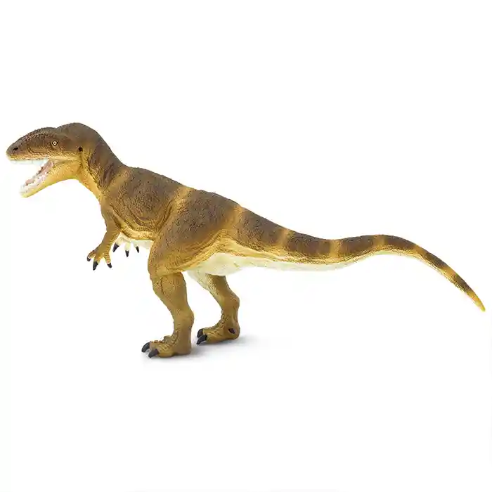 Carcharodontosaurus Dinosaurio