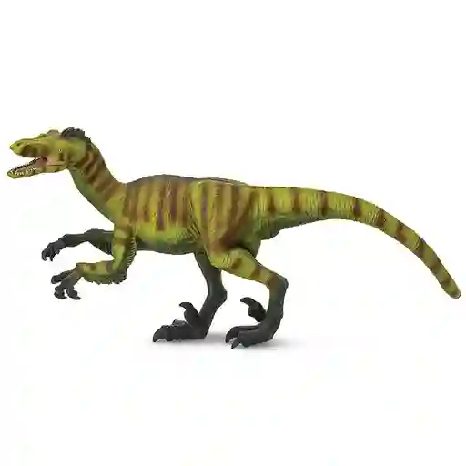 Velociraptor Dinosaurio