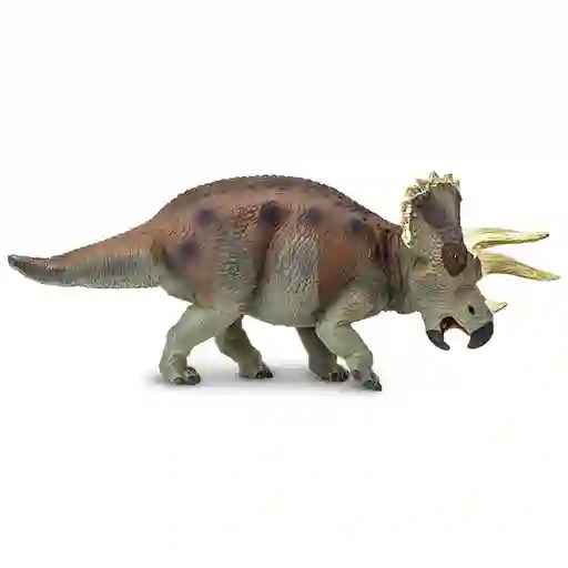 Triceratops Dinosaurio