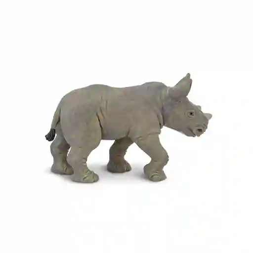 Rinoceronte Blanco Bebe
