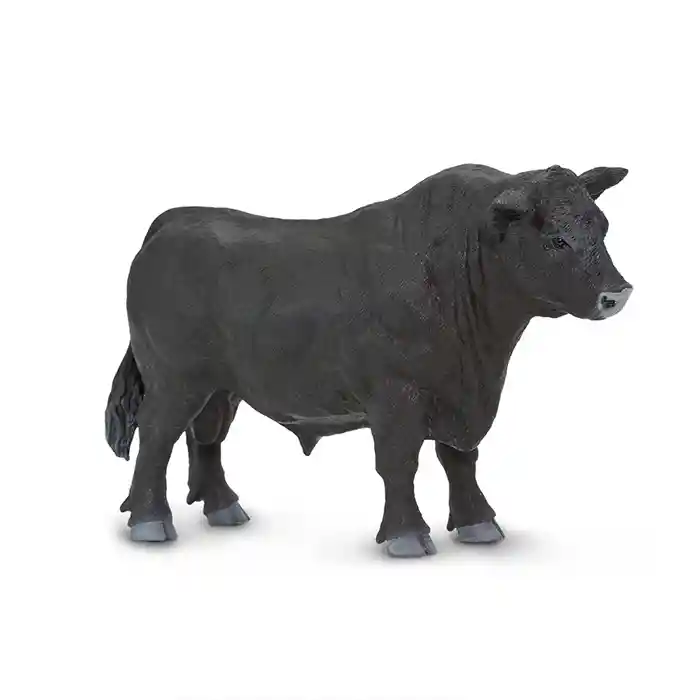 Toro Angus