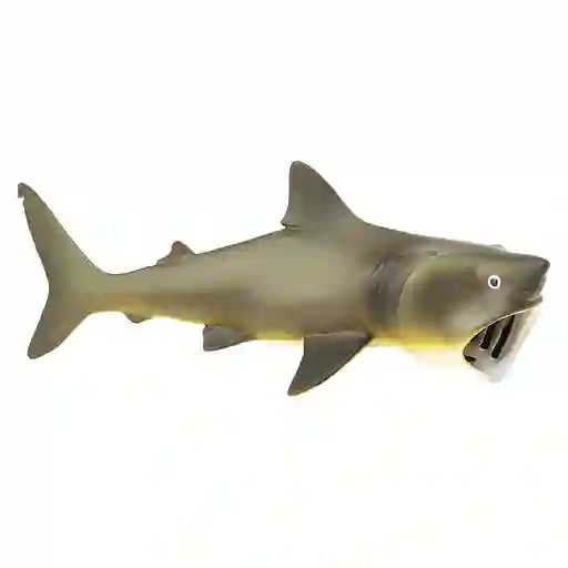 Tiburon Peregrino