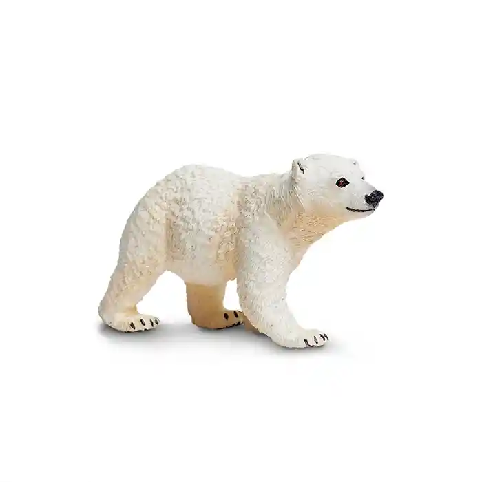 Oso Polar Bebe