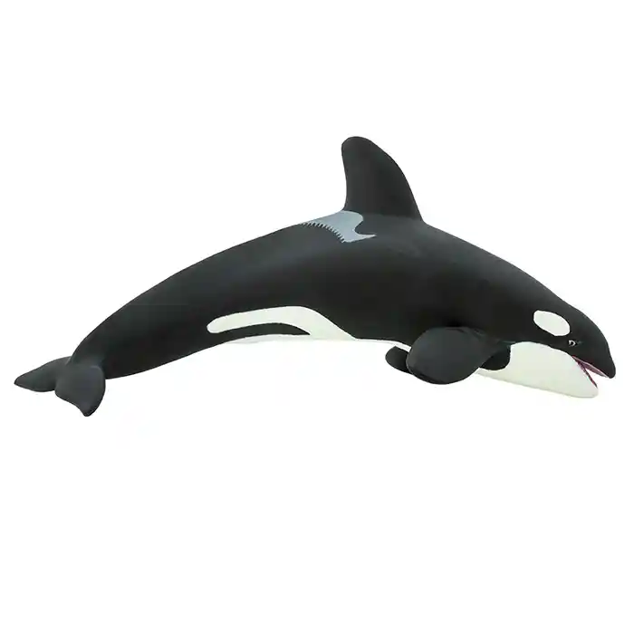 Orcas