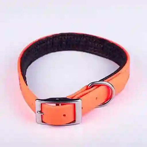 Collar Perro Sintetico At Naranja Talla L 2024