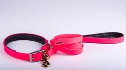 Tradilla Sintetica Perro At Fucsia Talla Unica