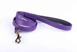 Tradilla Sintetica Perro At Morado Talla Unica