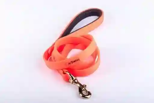 Tradilla Sintetica Perro At Naranja Talla Unica