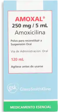 Gsk Amoxal Amoxicilina