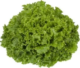 Lechuga Batavia Dole Entera
