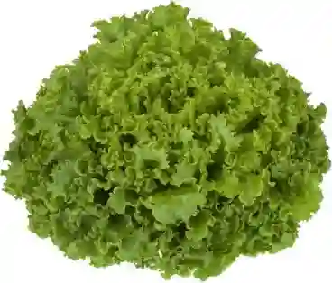 Lechuga Batavia Dole Entera