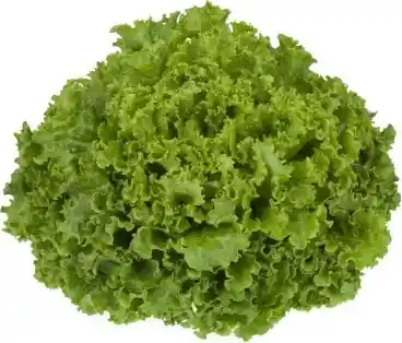 Lechuga Batavia Dole Entera