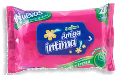 Toanittas Amiga Intima