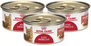 Royal Canin Alimento Para Gato Húmedo 3p Fhn Adulto Inst 85 G (1 Unidad)