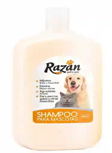 Shampoo razan x500 cc