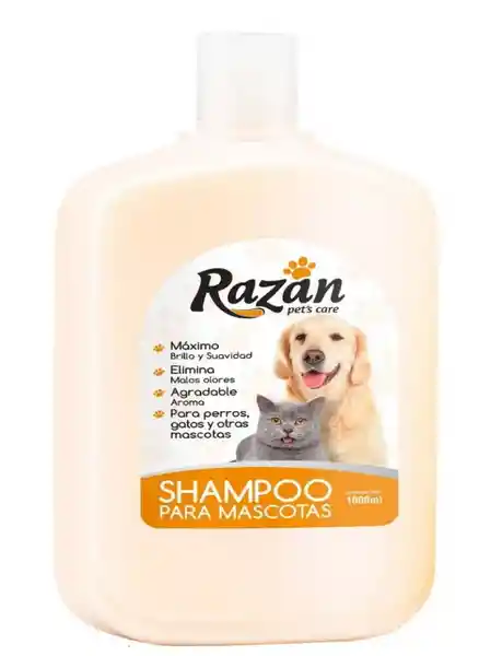 Shampoo razan x500 cc