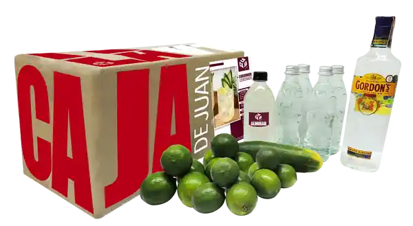 Gordon's Caja De Coctelescucumber Lemonade 15 Cocteles 1 U