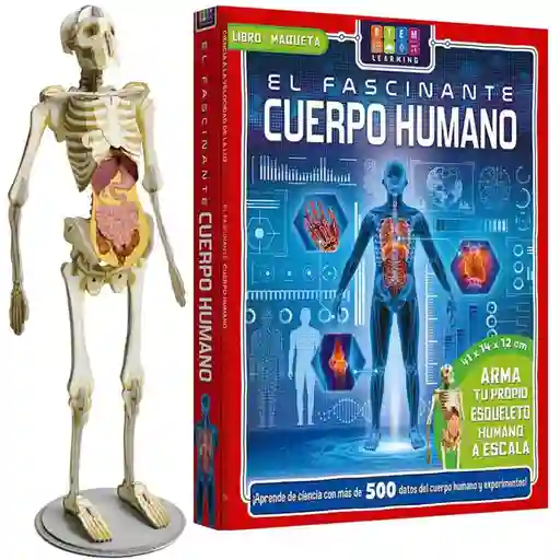 El Cuerpo Humano