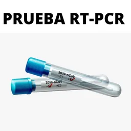 Aplicación de Dos Pruebas PCR Covid-19