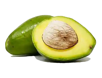 Aguacate Papelillo