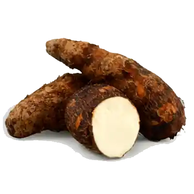 Yuca