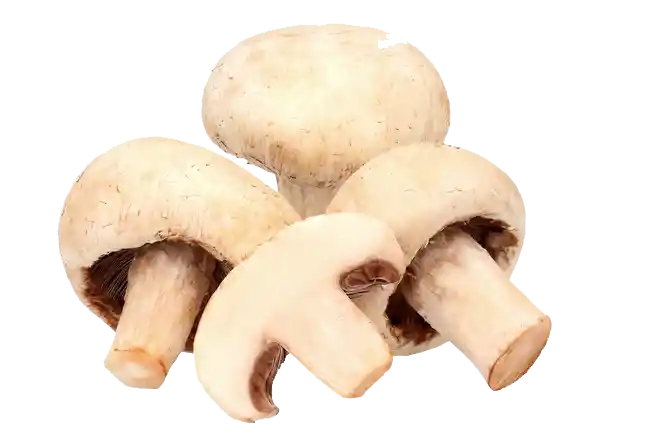 Champiñón Común Entero