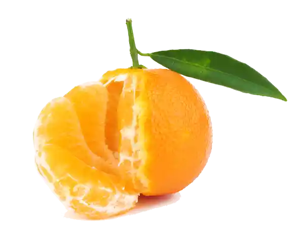 Mandarina