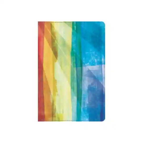 Rvr 1960 Biblia de Estudio Arco Iris - Multicolor Semi Piel