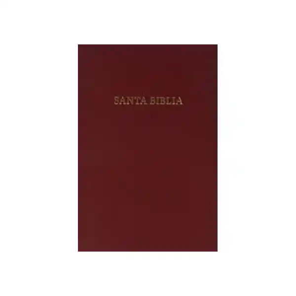 Rvr 1960 Biblia Letra Super Gigante