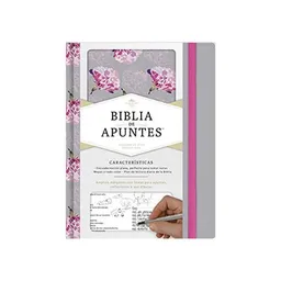 Rvr60 Biblia de Apuntes Tapa Gris