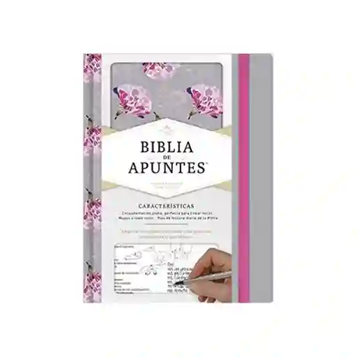 Rvr60 Biblia de Apuntes Tapa Gris