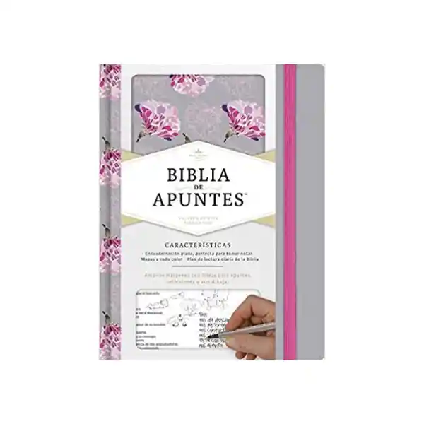 Rvr60 Biblia de Apuntes Tapa Gris