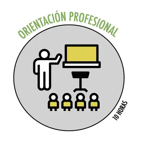 Ipler Clase Online de Orientación Profesional. Profesor en Vivo