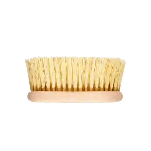 Cepillo de Cactus Para Masajes Loto del Sur