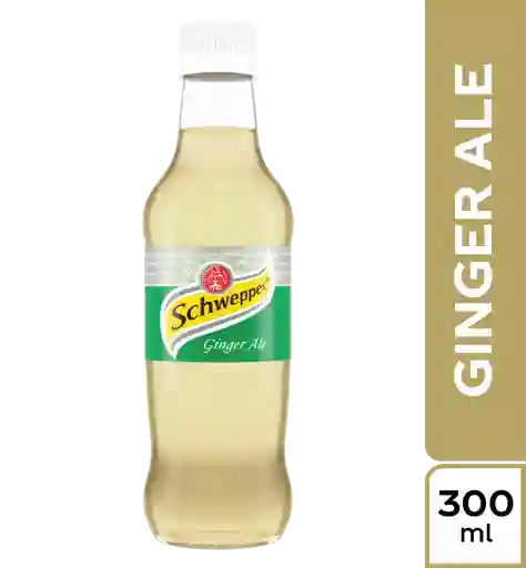 Ginger 300 ml