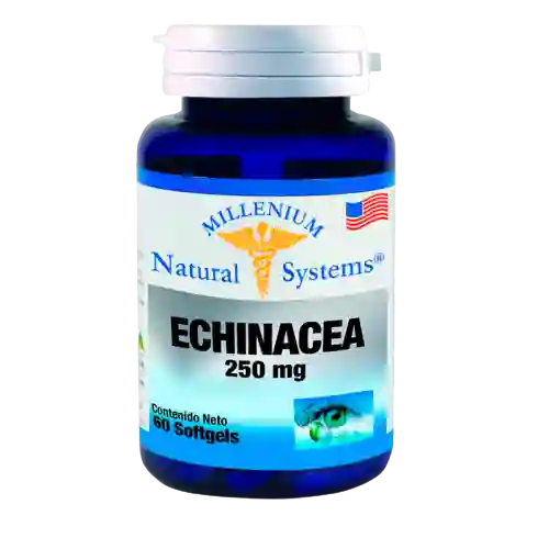 NATURAL SYSTEMS Echinacea Natural (250 Mg)