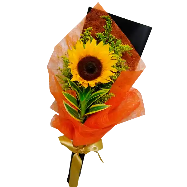 Flores Ramillete De Aura Con Girasol Y Follaje