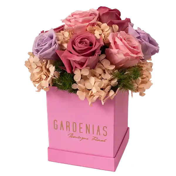 Gardenias Box Hera