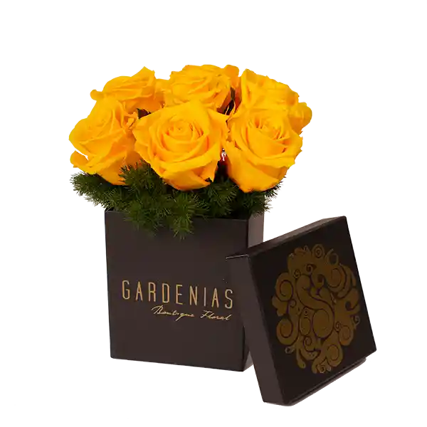 Gardenias Box Asteria