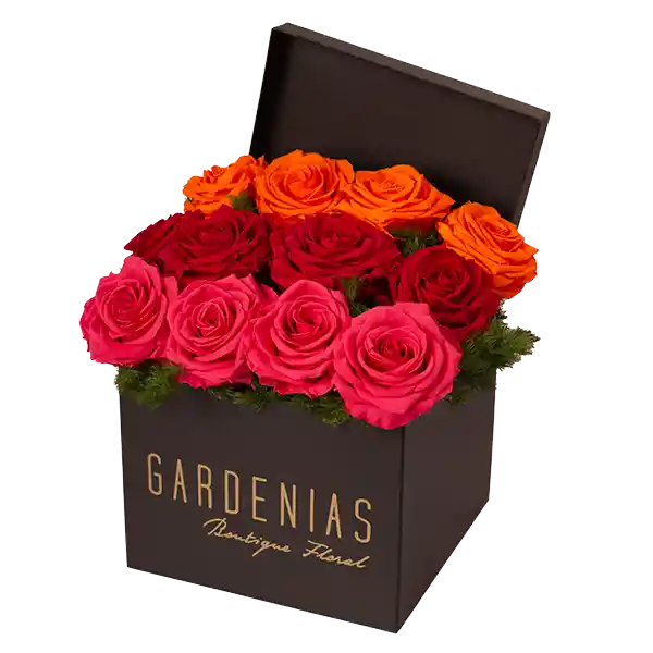 Gardenias Box Hemera