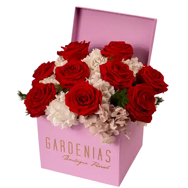 Gardenias Box Iris