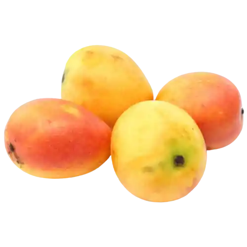 Mango Común