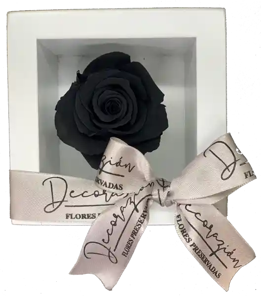 Decorazion Arreglo Floral Gaia Negra