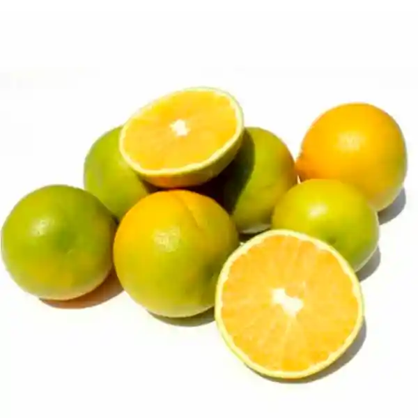 Naranja Valenciana