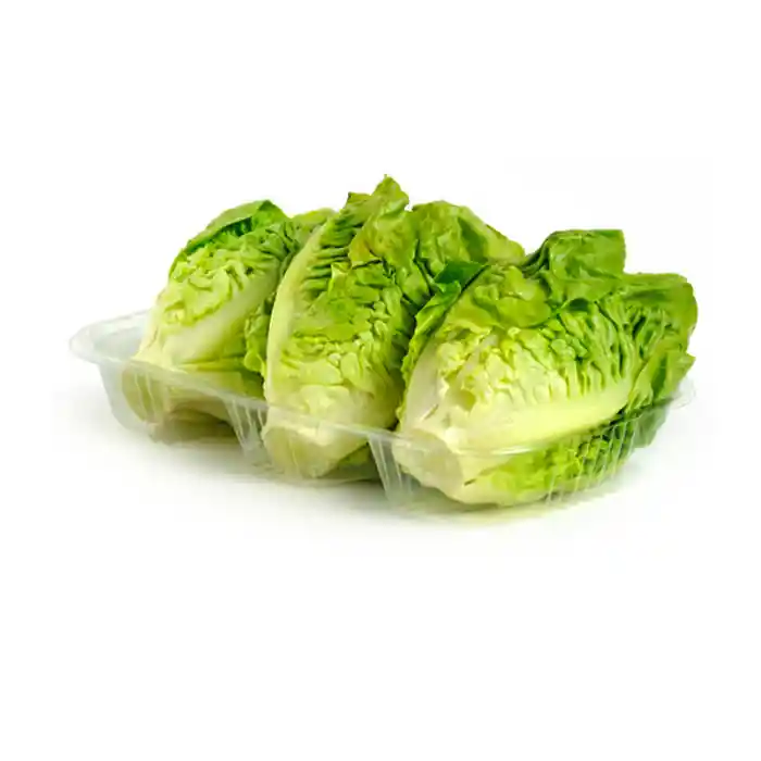 Cogollos de Lechuga