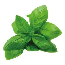 Albahaca