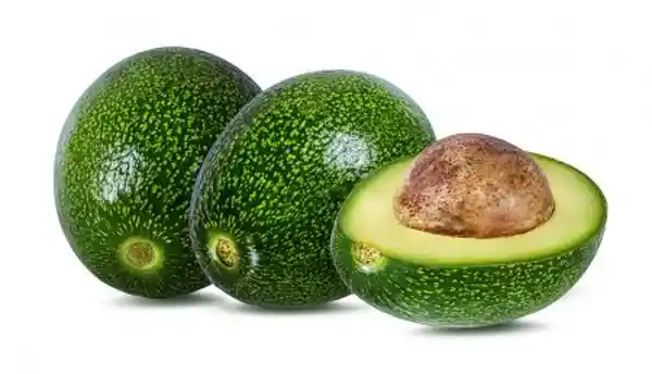 aguacate choquette